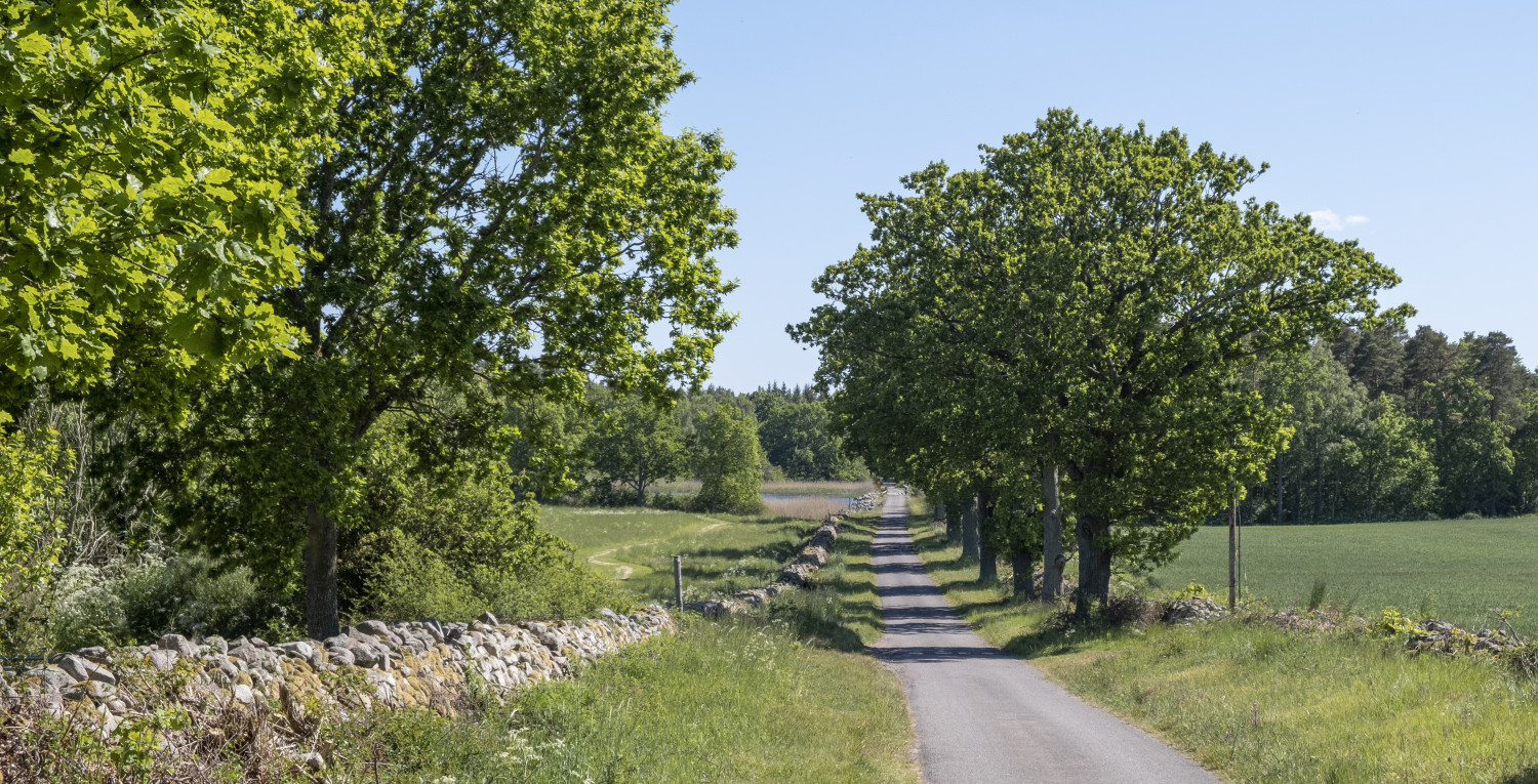 Lån och leasing  bild