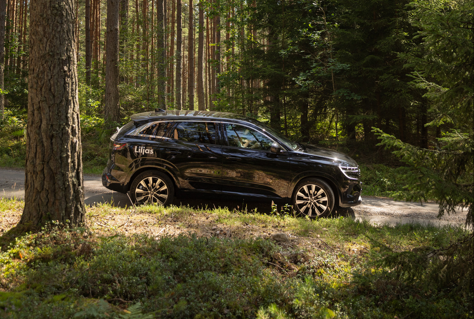 Upptäck Småland med nya Renault Austral bild