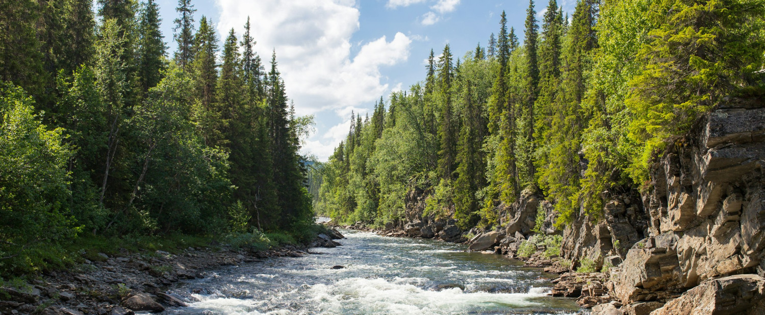 Hållbarhetsredovisning - aktuella aktiviteter och initiativ bild